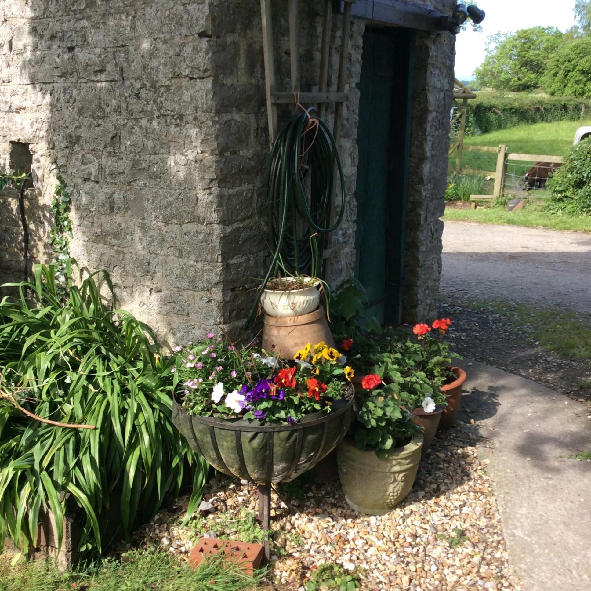 Bed and Breakfast Poplar Farm Wedmore Exteriér fotografie